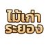 ไม้เก่าระยอง รับซื้อ–ขายไม้เก่า ไม้แปรรูป คัดสรรไม้คุณภาพ สำหรับงานก่อสร้างและงานตกแต่ง